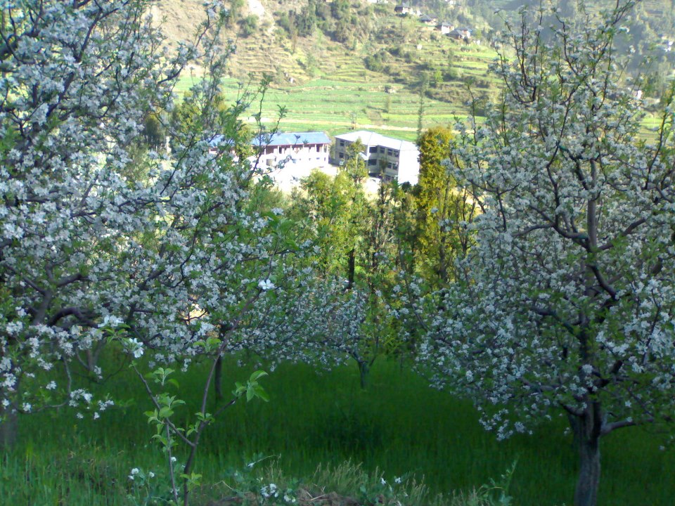 sunset on the Divine land in the evening of spring Thunag Mandi