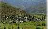 Janjehli-Valley-festival-15-August-Mandi